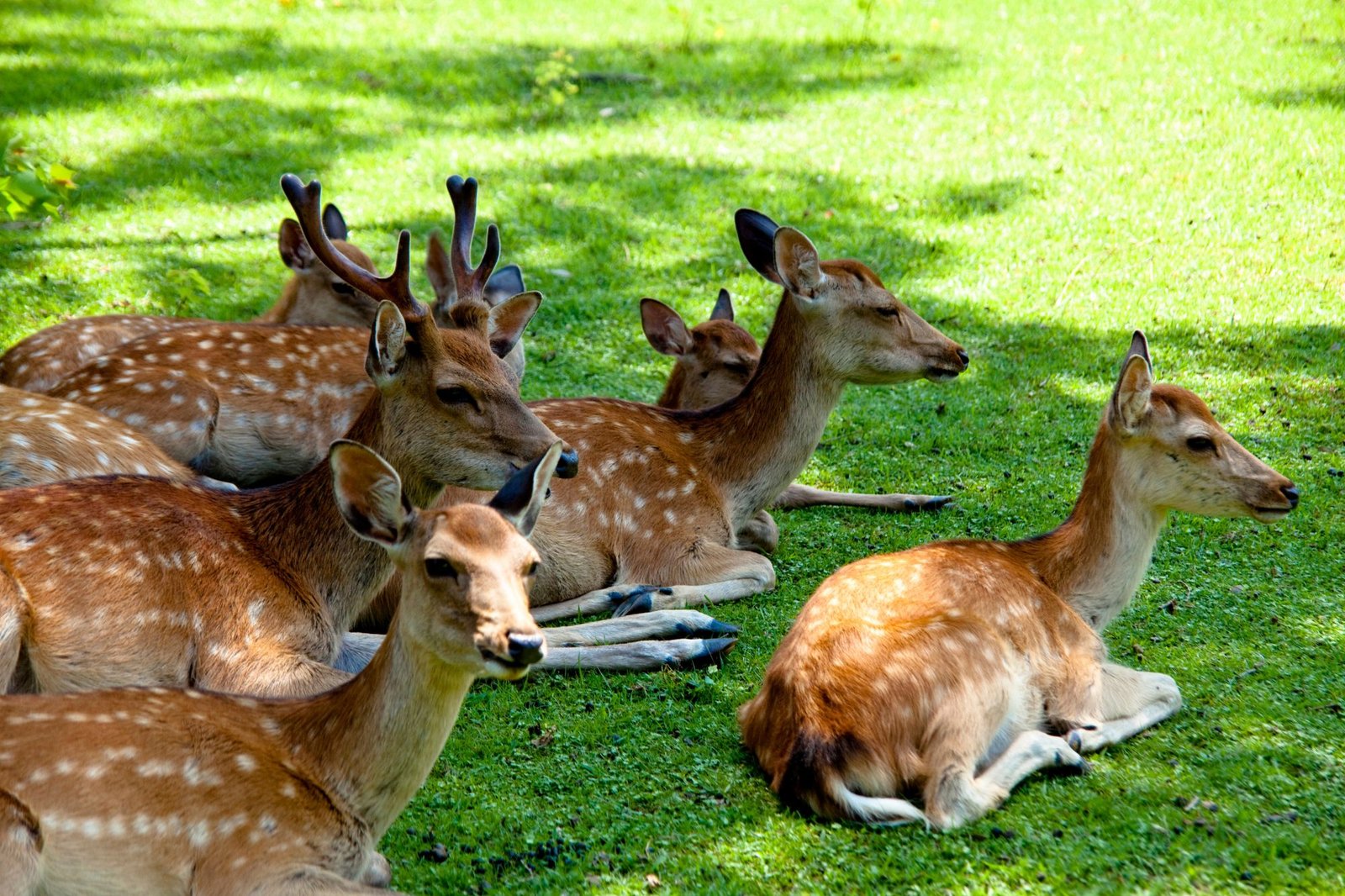 Untitled design (76)