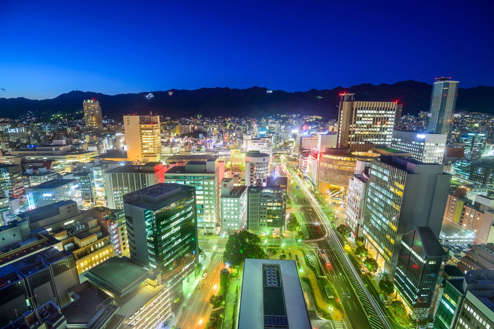 Untitled design (81)