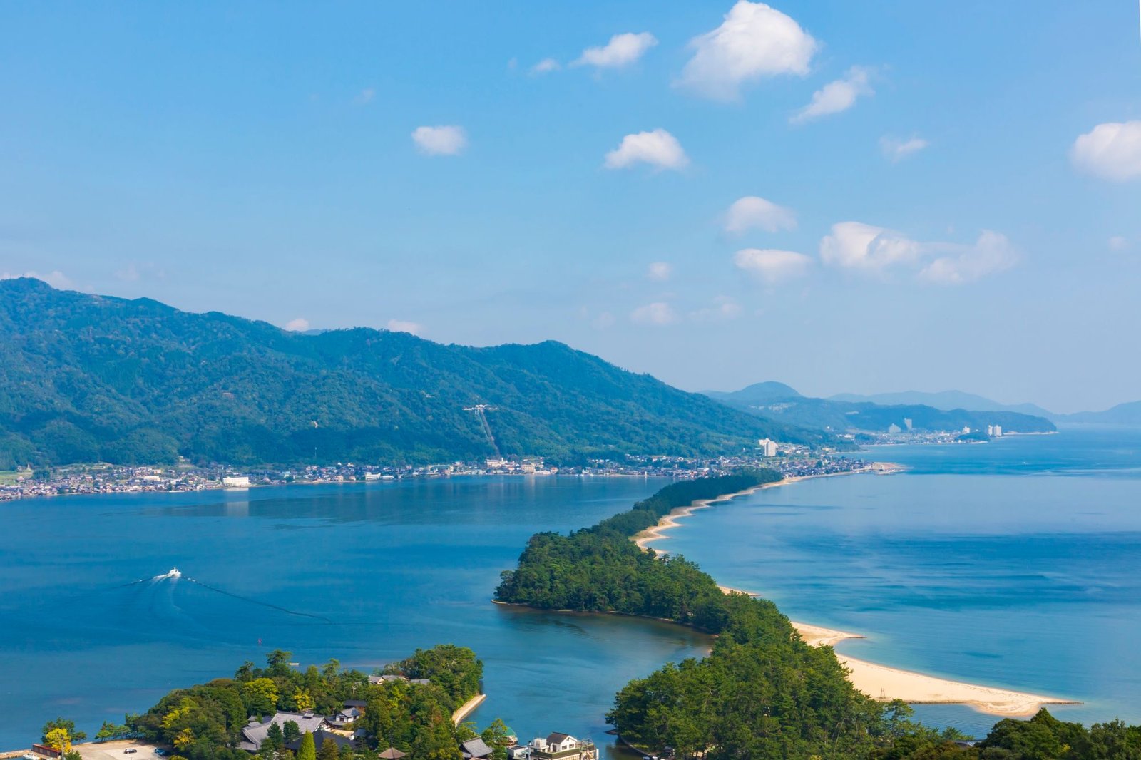 Untitled design (83)