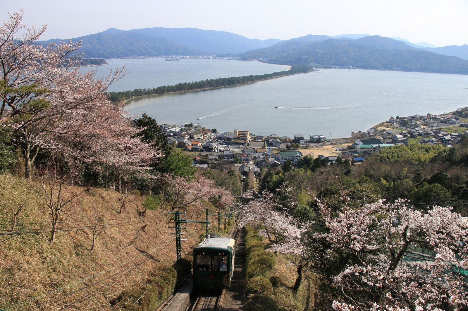 Untitled design (84)