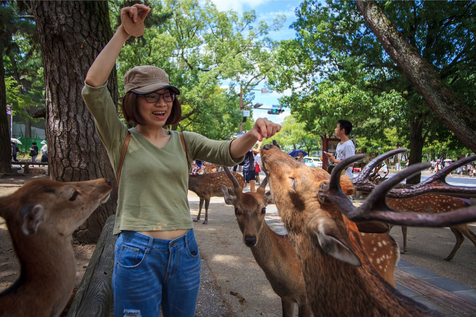 Untitled design - 2026-01-04T143531.003